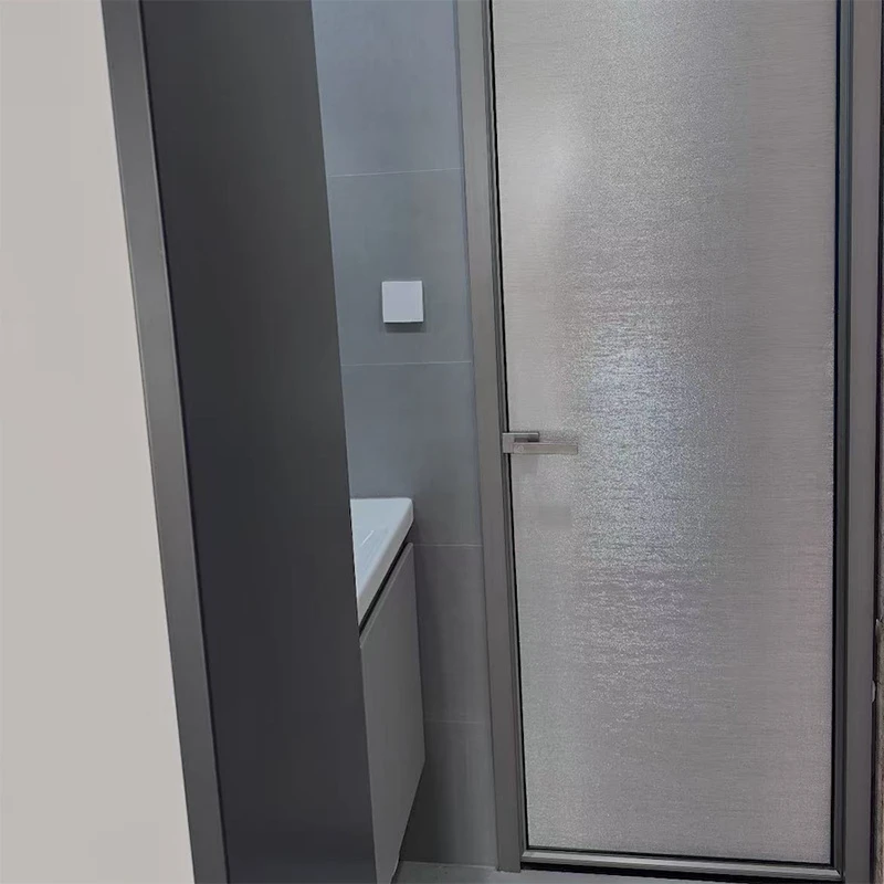 Frosted Glass Swing Door