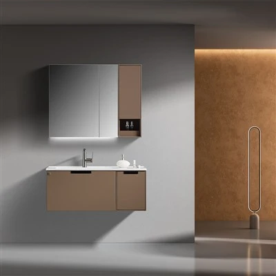 Bathroom Vanity with Mirror Cabinet