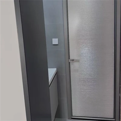 Frosted Glass Swing Door