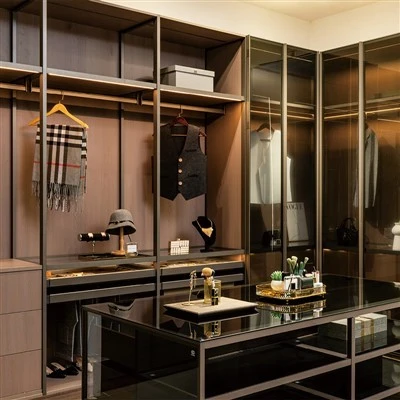 Modern Glass Sliding Closet Doors